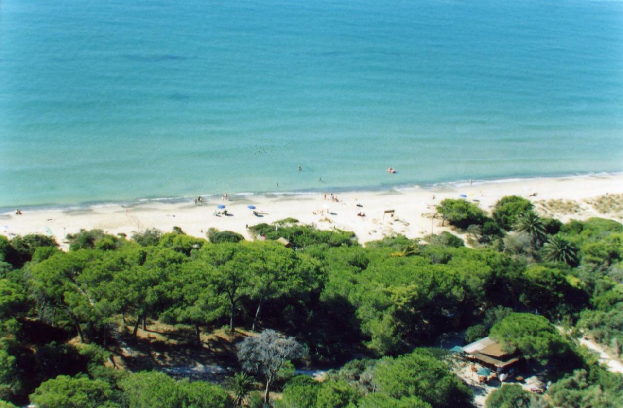 ריוטורטו Villaggio Turistico Airone מראה חיצוני תמונה